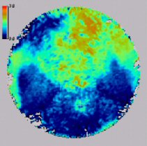 2D view of Survey Information.
